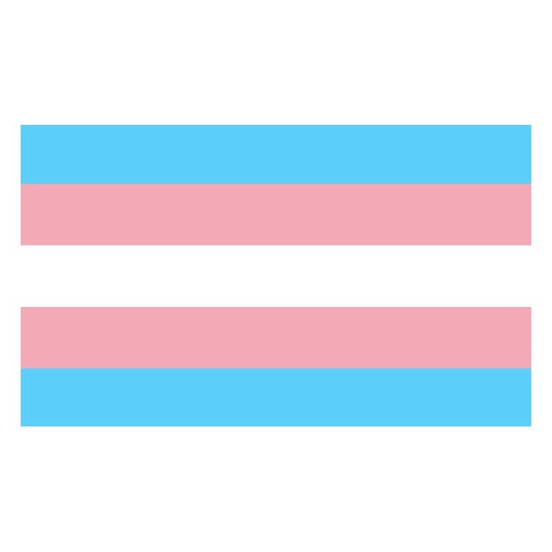 Drapeau Trans