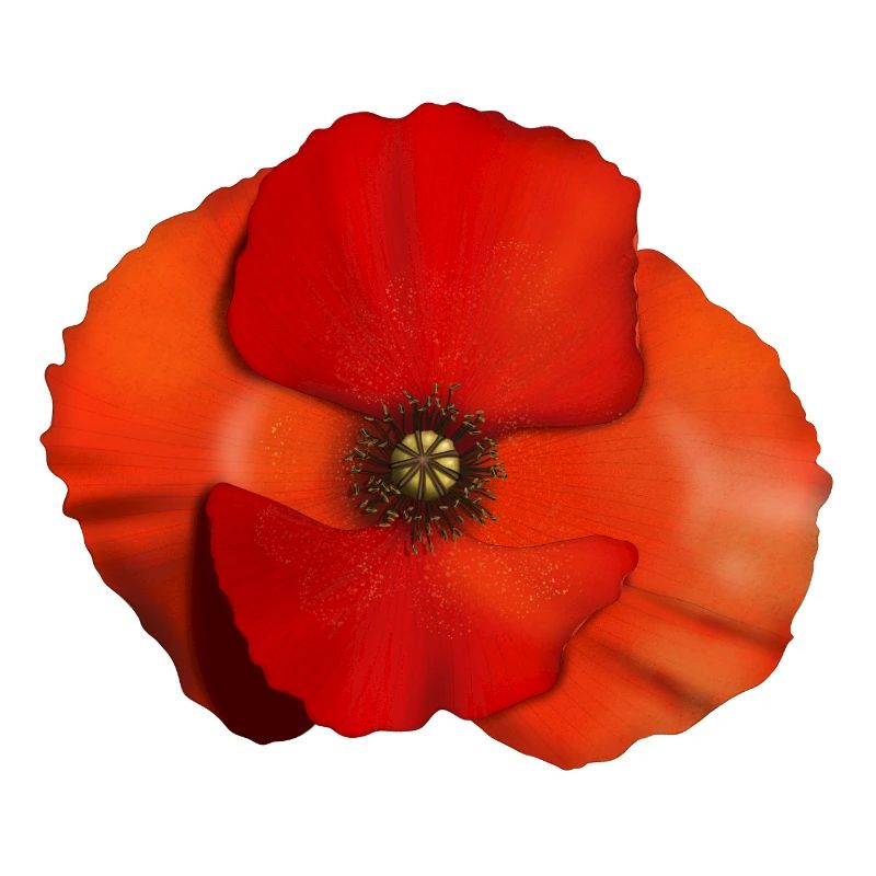 Fleur de coquelicot