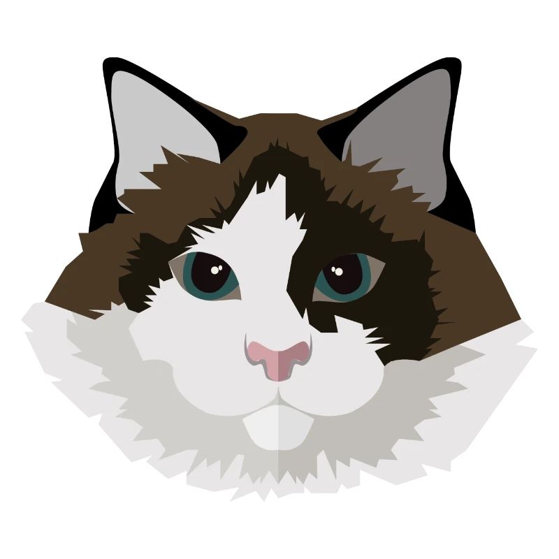 Katze