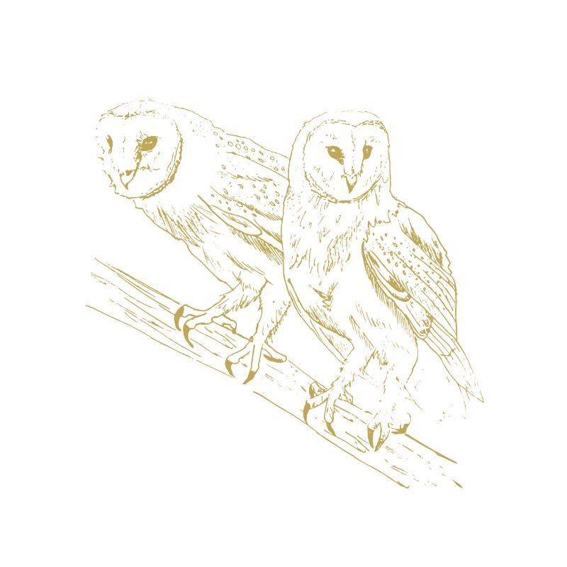Illustrierte Designs mit Eulen