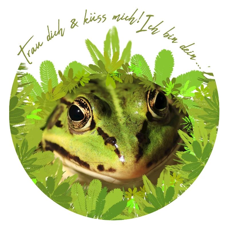 Frosch Prinz König küss mich