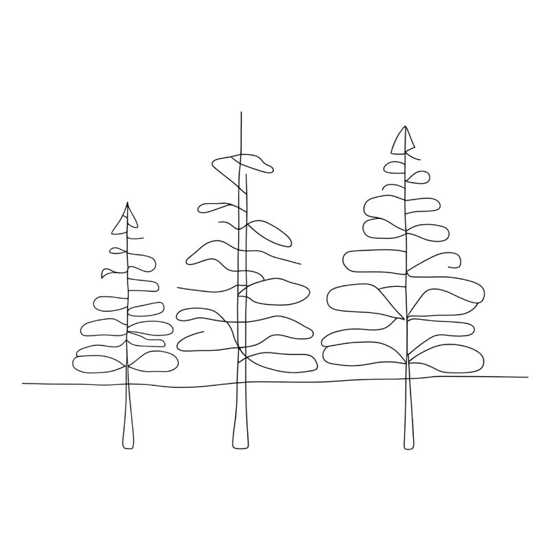 Minimalistische moderne abstrakte Kiefern