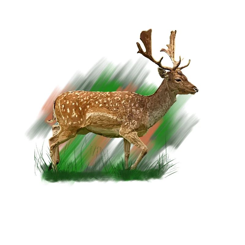 Cerf en brosse