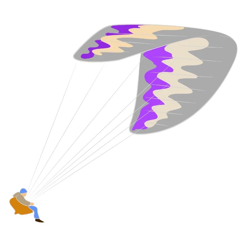 Paraglider