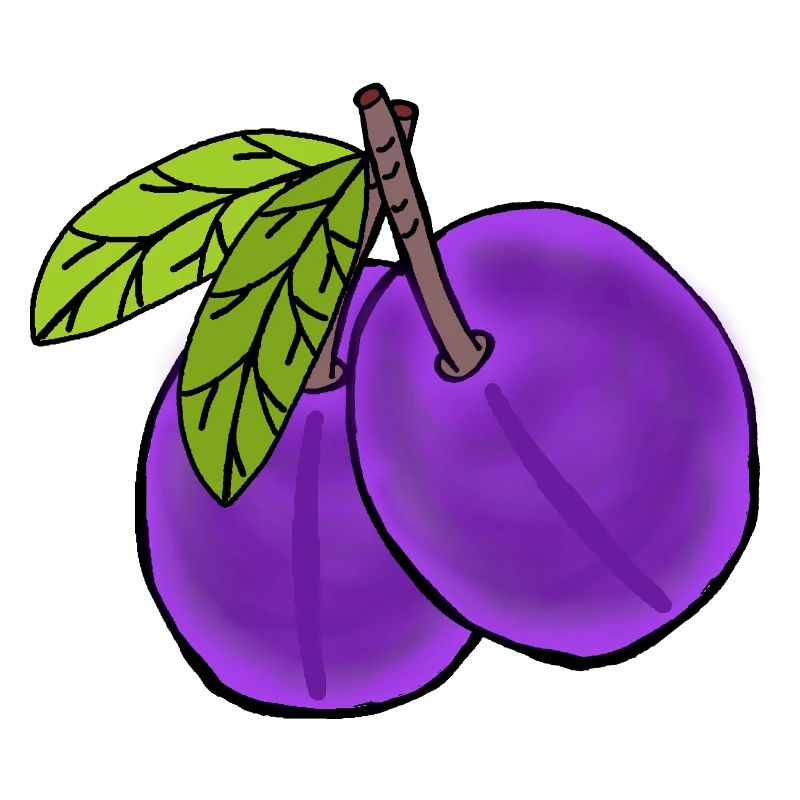 Plums Fruit Fruit Plum Garden