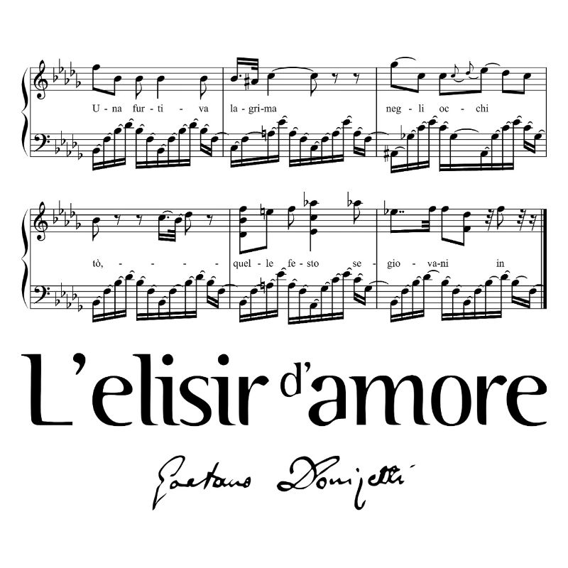L'elisir d'amore 2