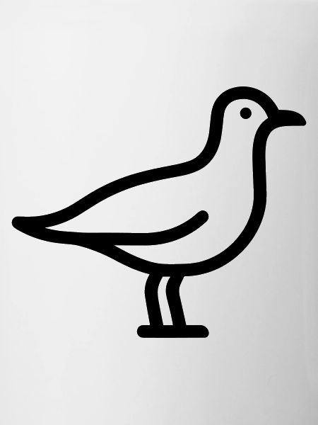 Seagull