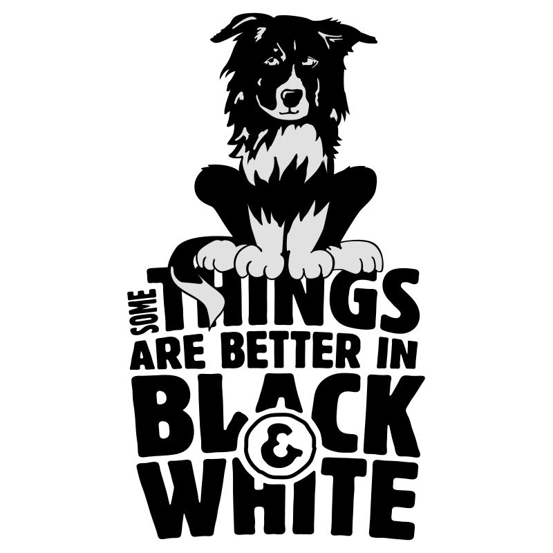 Bordercollie b/w