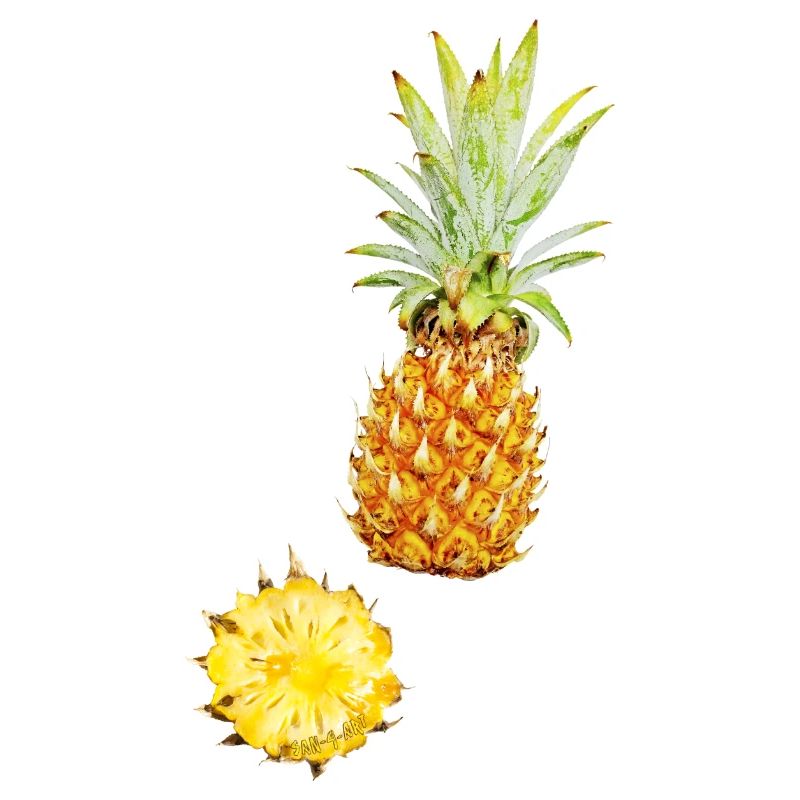 Ananas