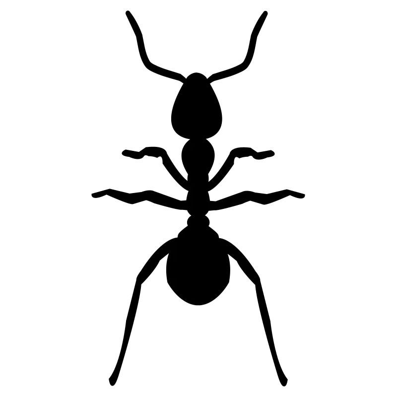 ant