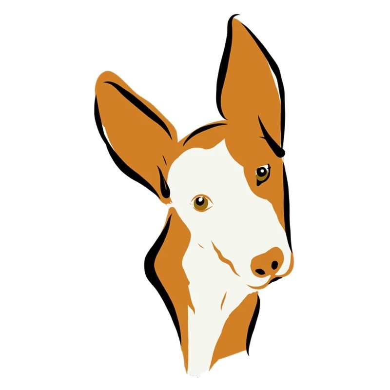 Podi