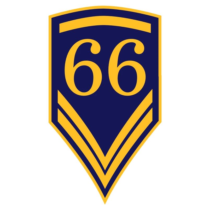 66