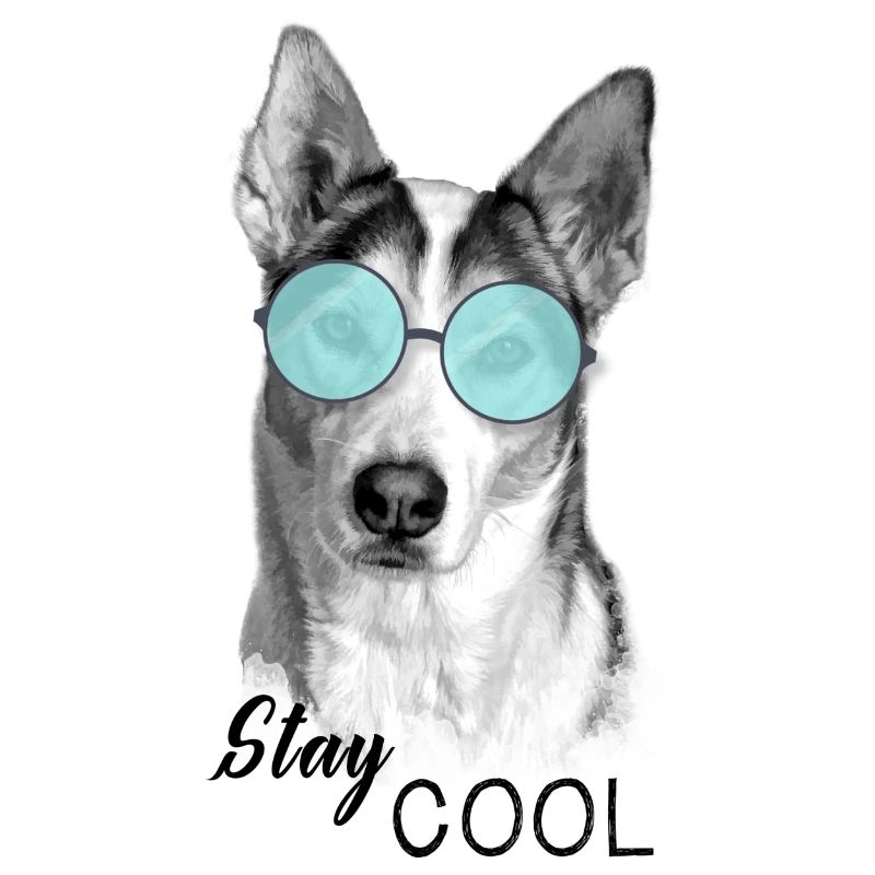 Chien - Reste cool