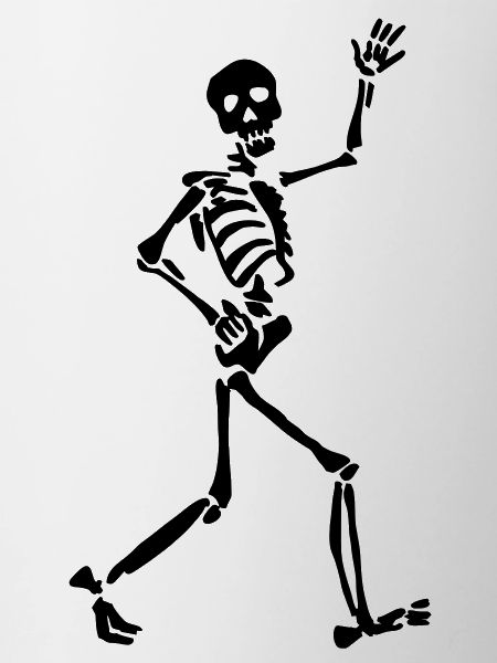 Skeletton