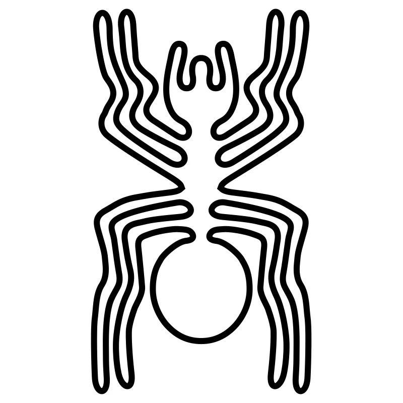 Spider Nazca