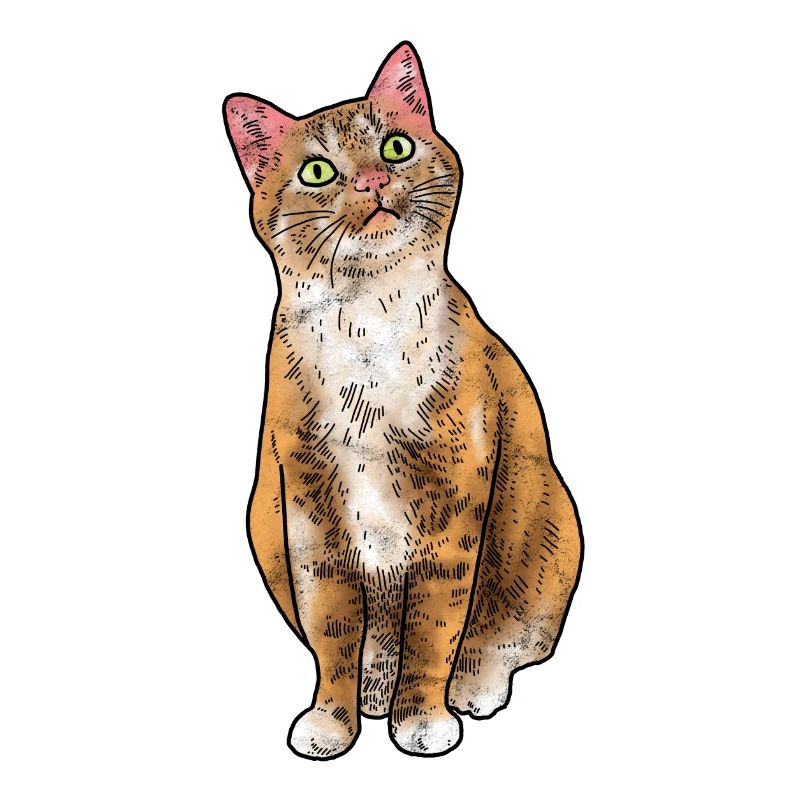 Chatons