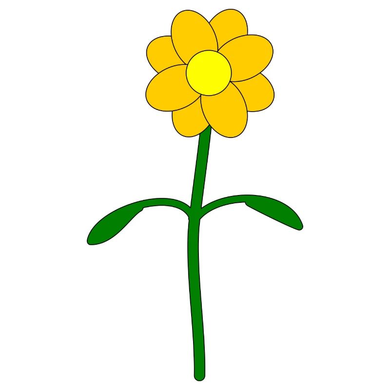Fleur jaune beurre