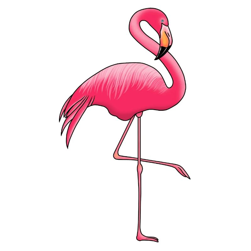 Flamingo Pink