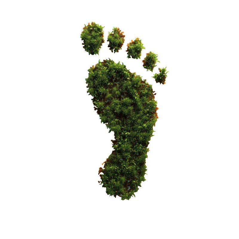 Ecological Footprint