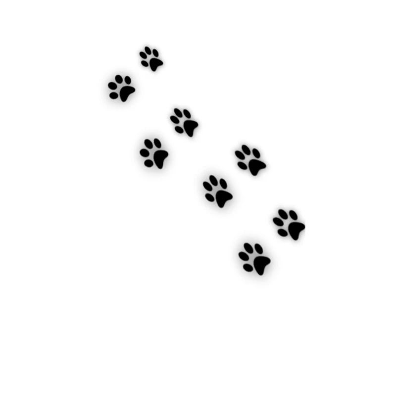 Patte de chat II