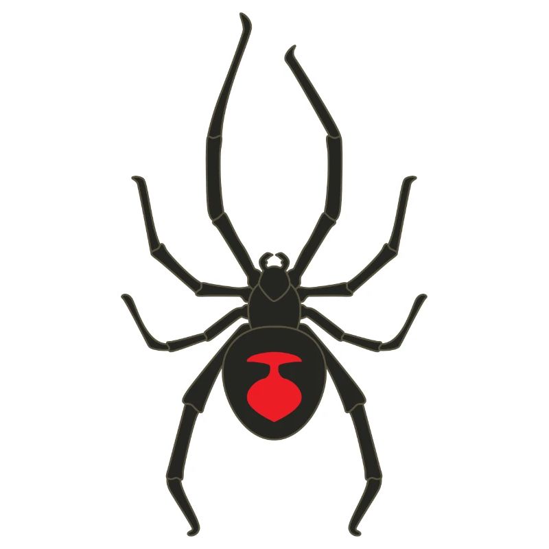 Schwarze Witwe