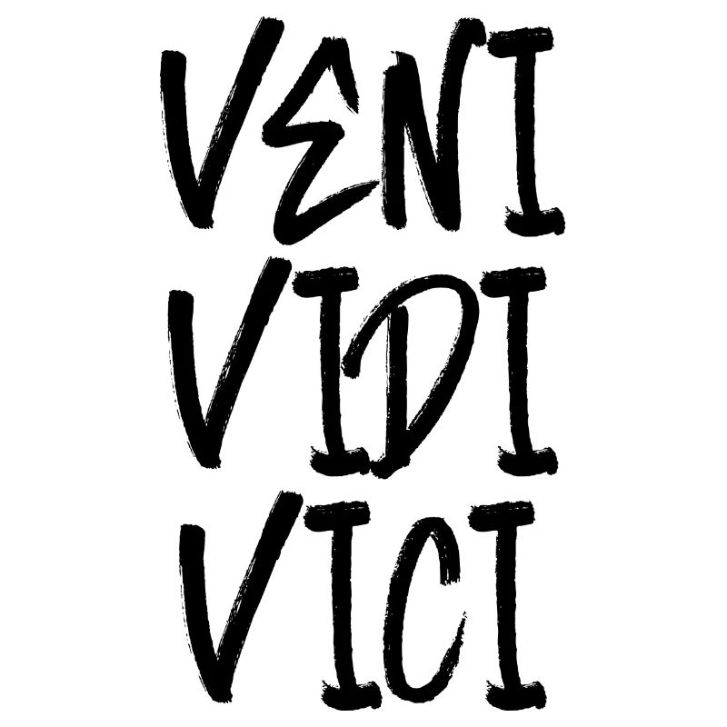 veni vedi vici Erfolg erfolgreich Caesar