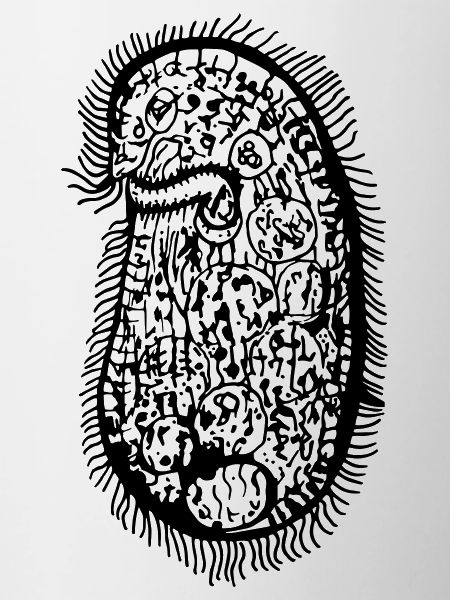 PLANKTON_05 (Series: Under the Microscope)