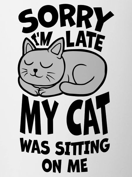 sorry cat was sitting