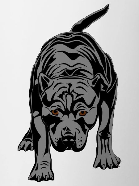 Pitbull