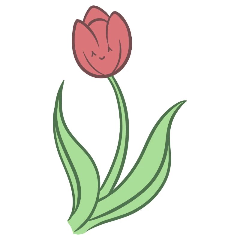 Tulipe douce