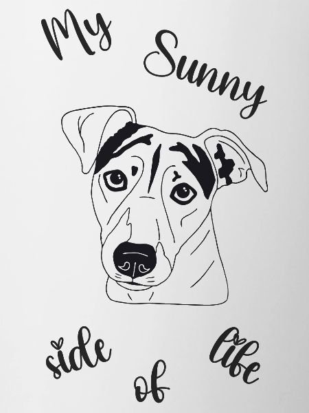 Jack Russell Terrier