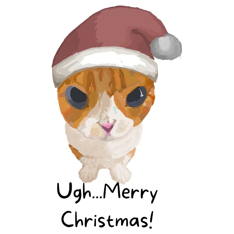 Chat impertinent - Joyeux Noël !