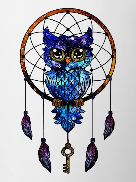 Cosmic Dream Catcher