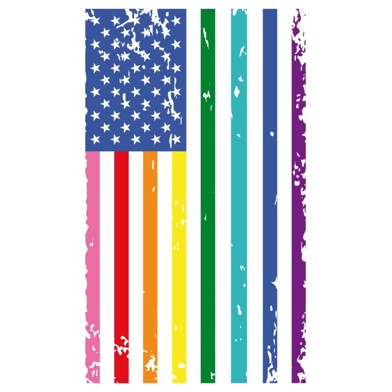 Rainbow USA Flag