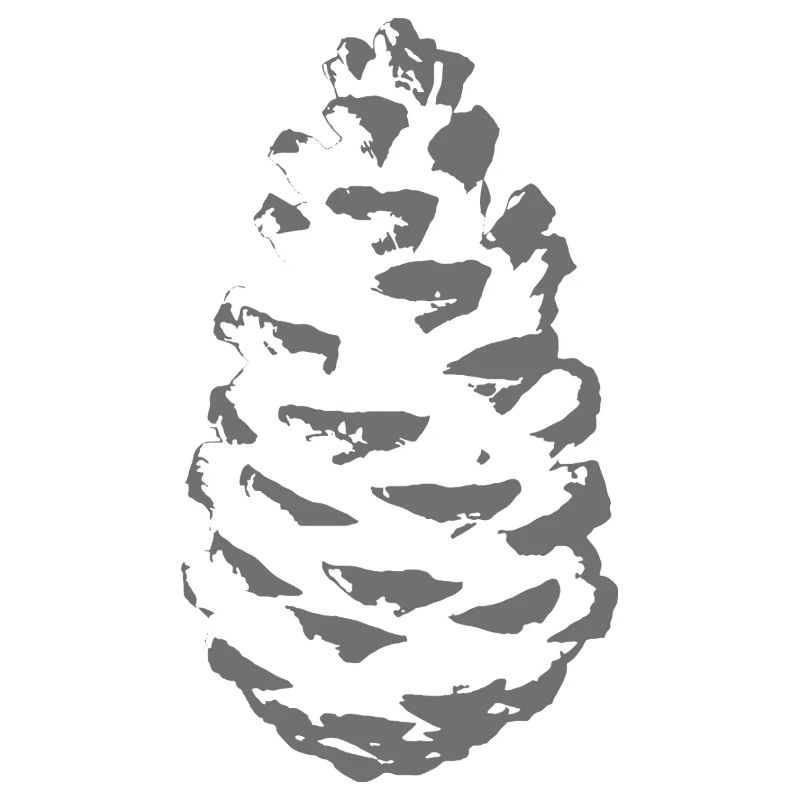 Spruce cone silhouette in shade grey