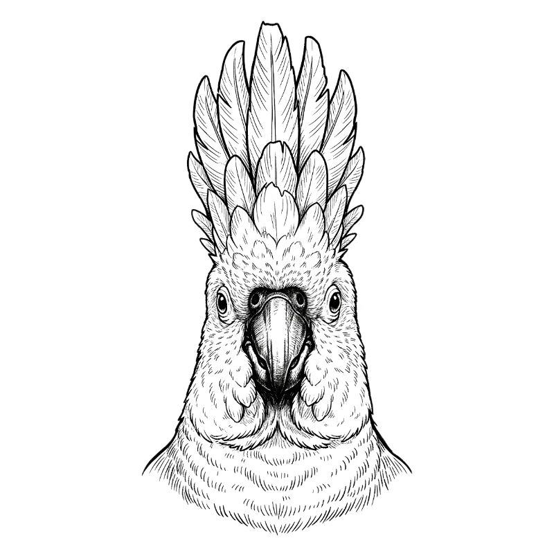 Cacatoès