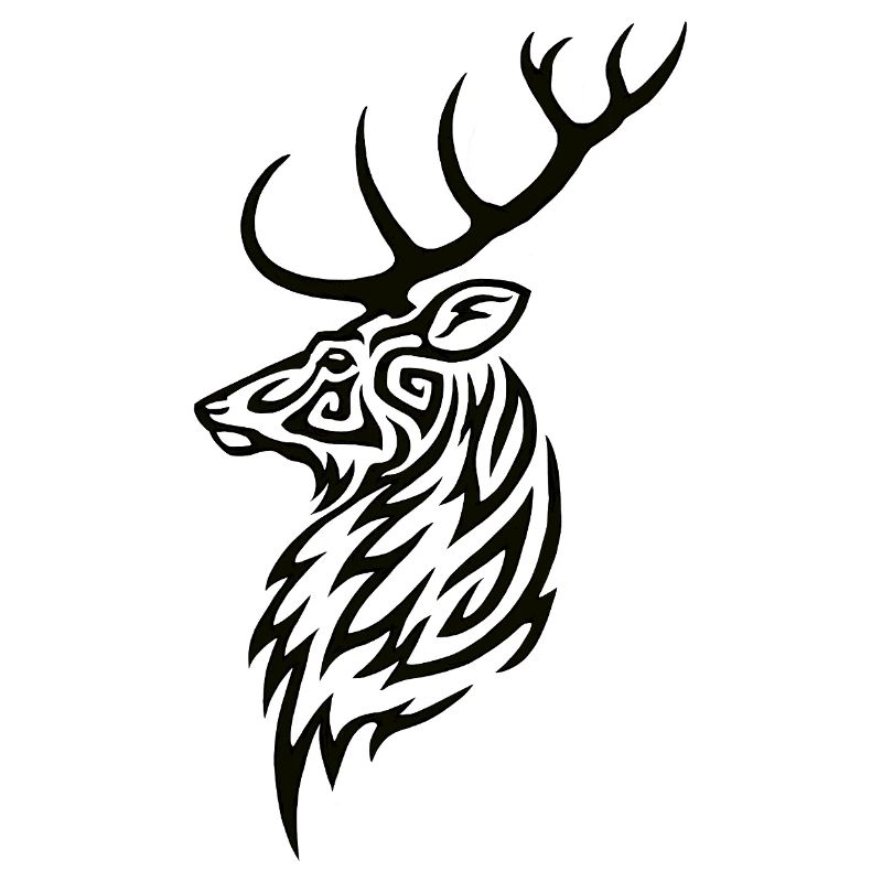 Hirsch