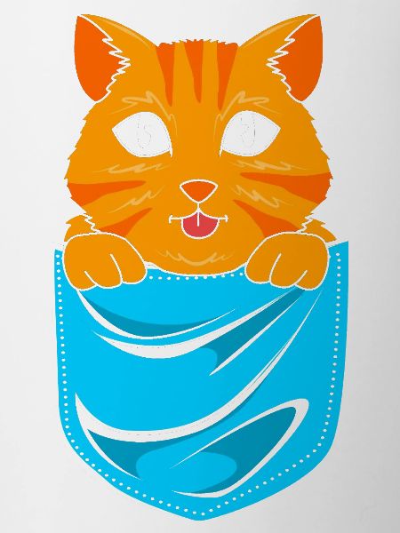 tabby cat