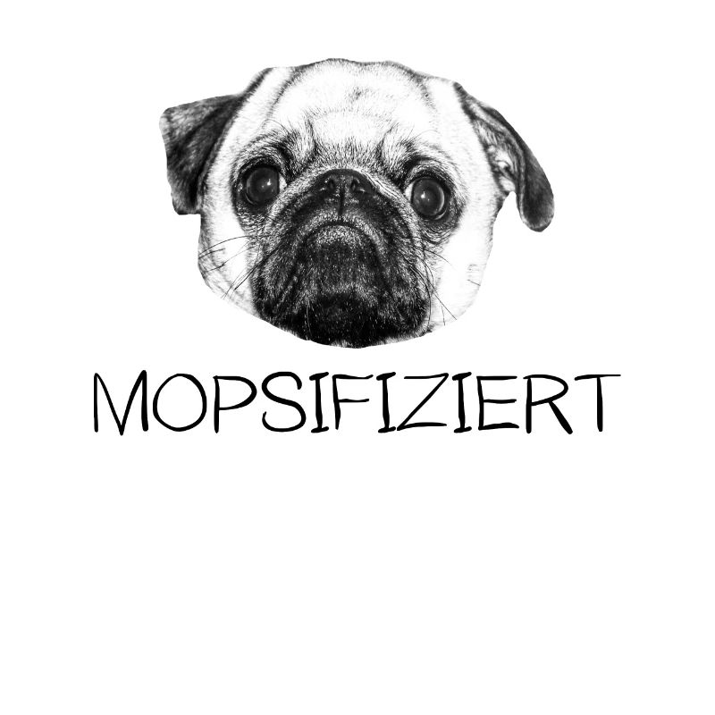 Mops niedlicher Hund Mopps