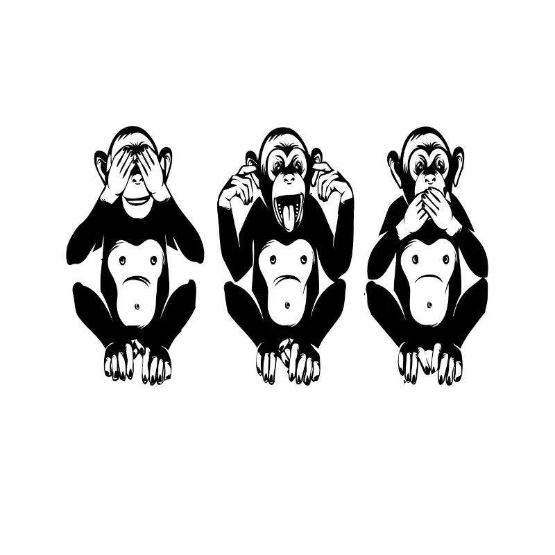 THE 3 MONKEYS