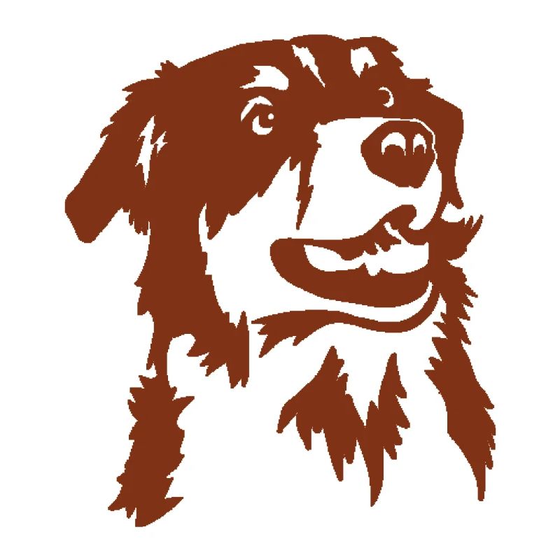 Australian Shepherd