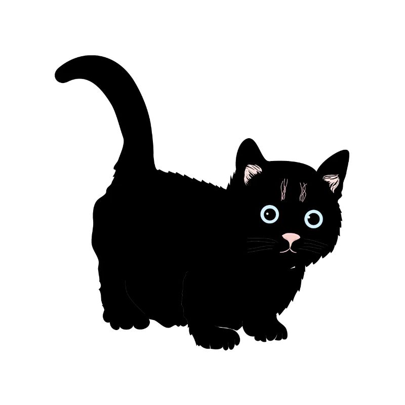 Katze schwarz