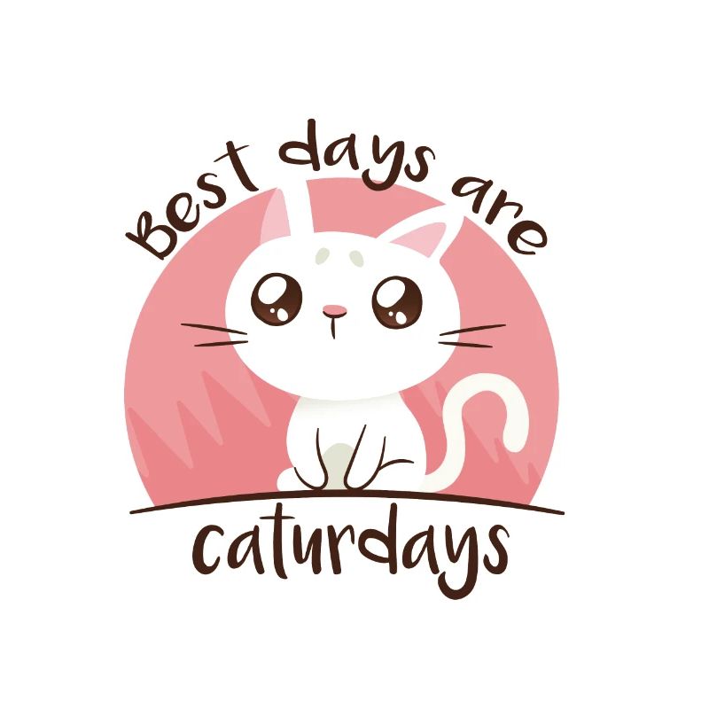 caturday Katze