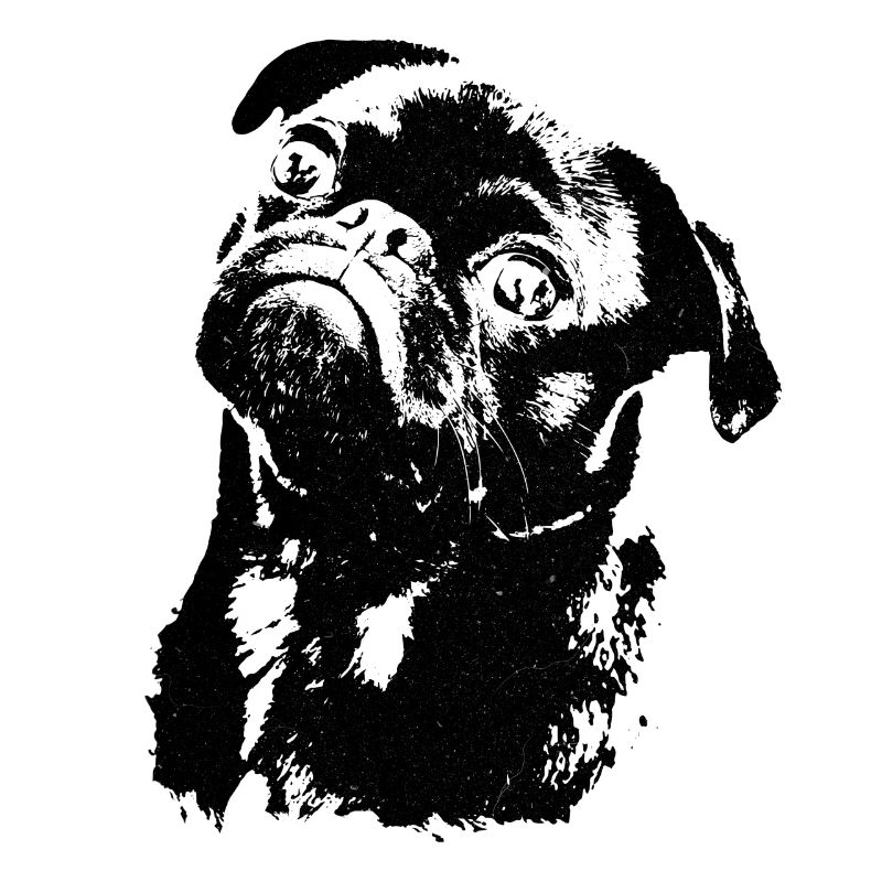 Eine Skizze eines Mops