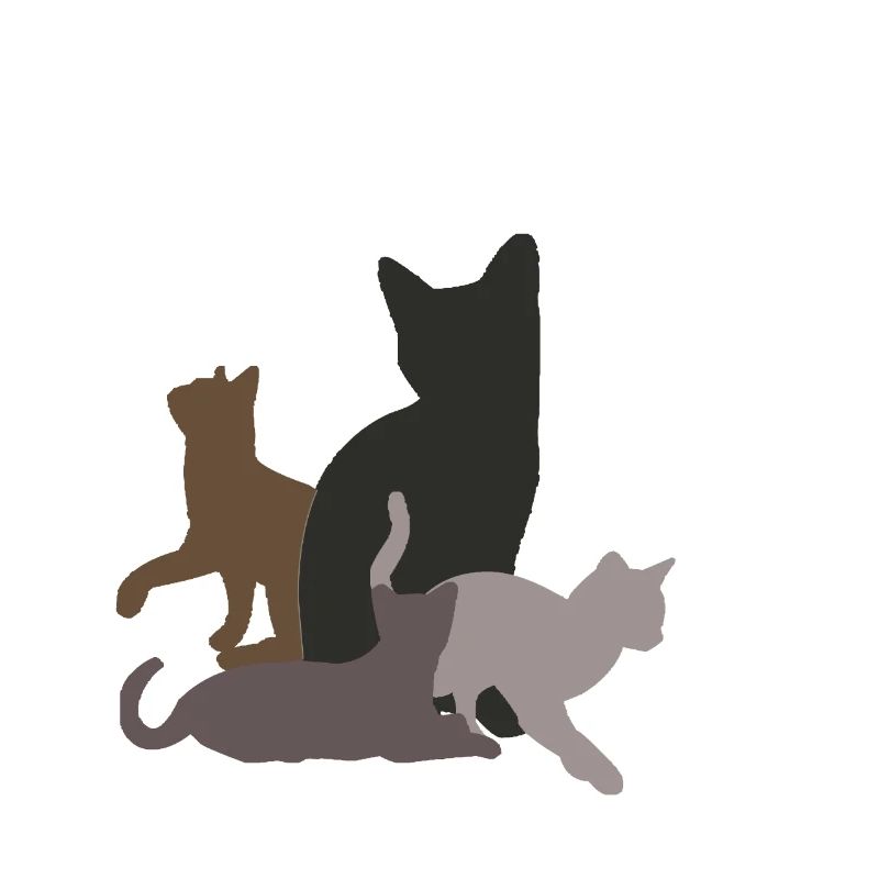 quatre chats noirs