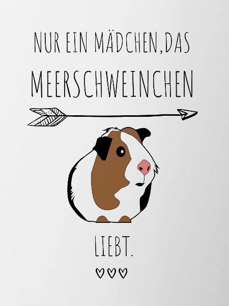 Meerschweinchen Quietschen Geschenkidee