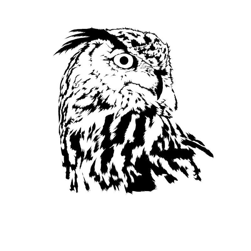 Hibou
