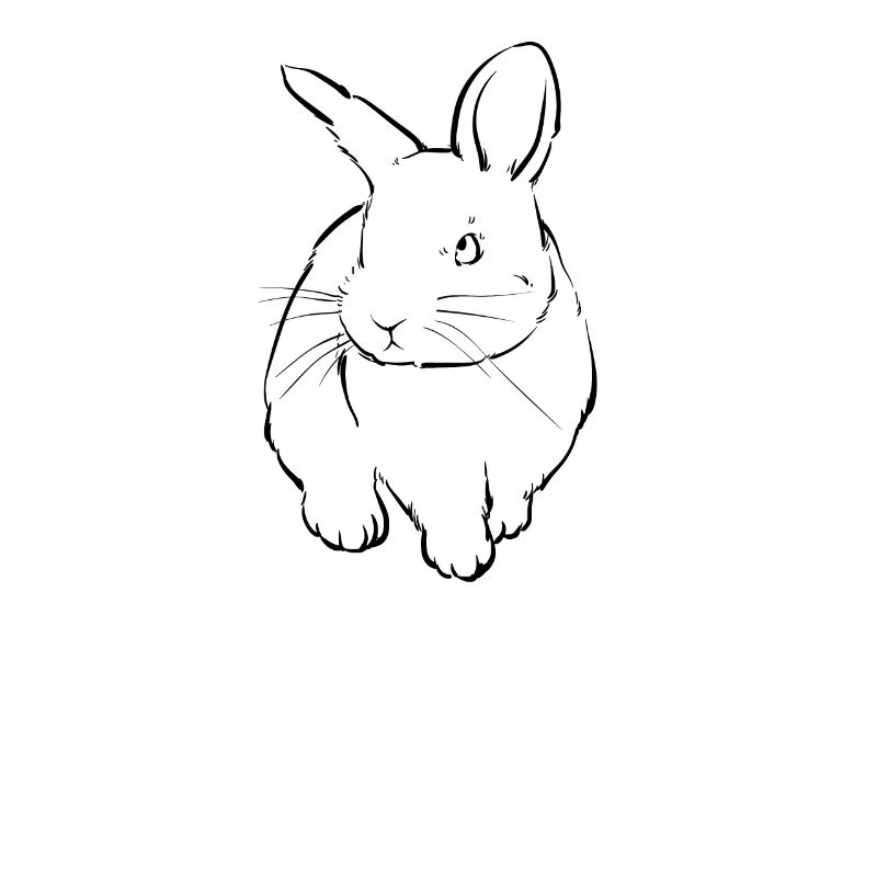 Lapin lapin lapin