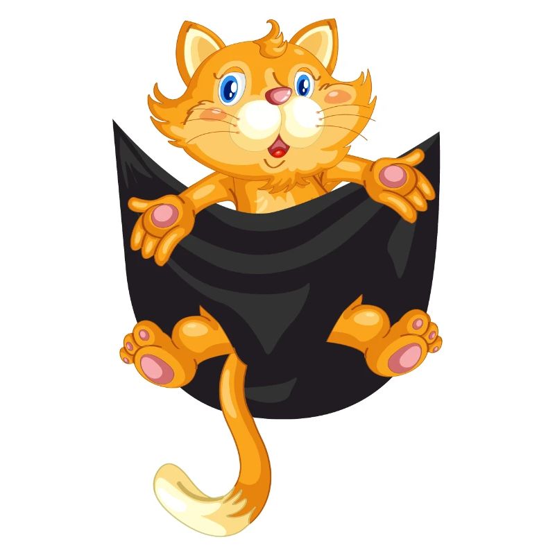 Chat chat dans la poche
