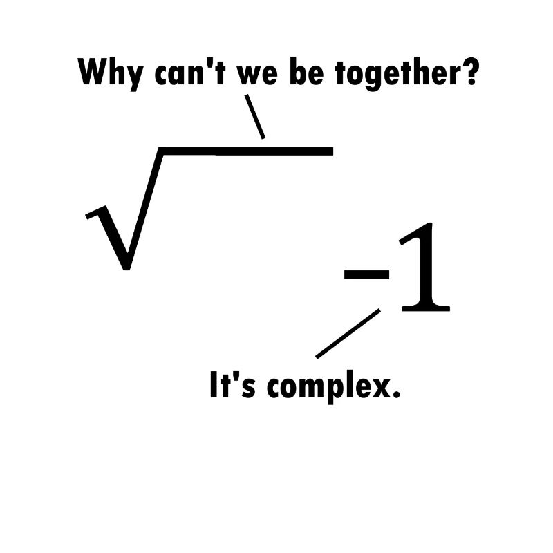 Math joke mathematician gift nerd teacher